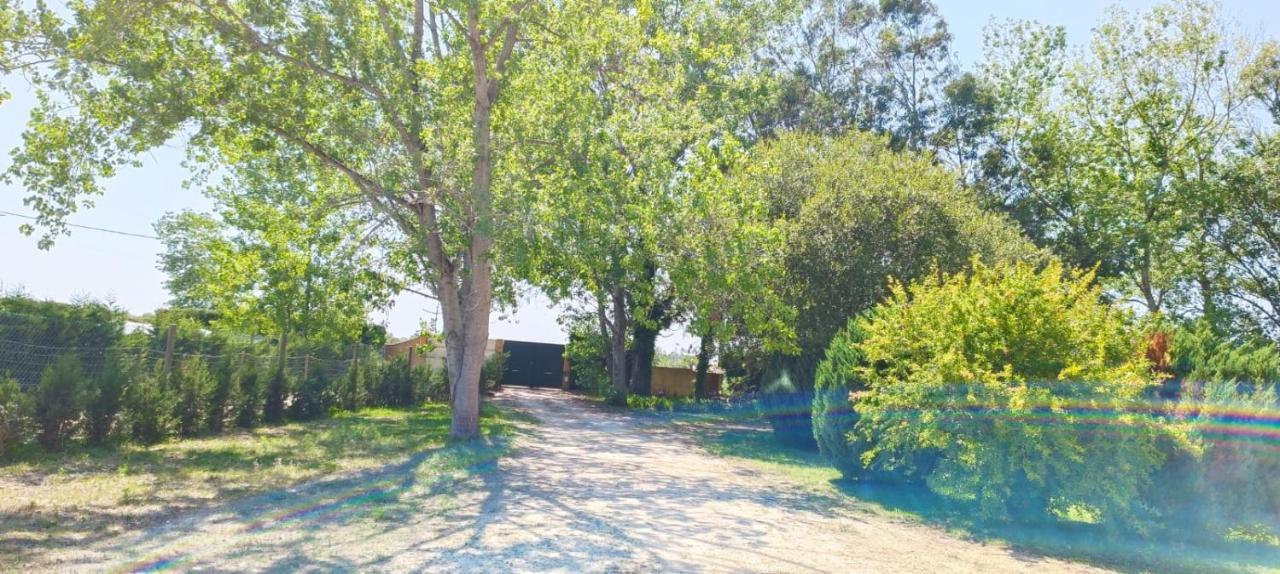 Casas Da Barra Villa Praia de Mira Bagian luar foto